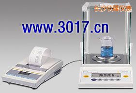 長沙BT系列精密天平,21g,0.01mg