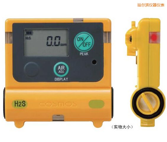 哈爾濱硫化氫計(jì)