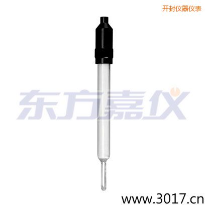 開封玻璃外殼無溫補兩線電導(dǎo)率電極