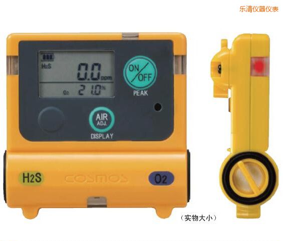 樂清復(fù)合型氣體檢測器