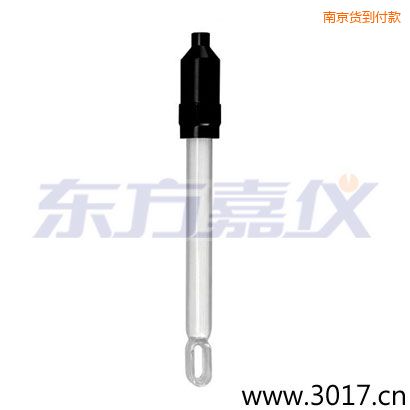 南京玻璃外殼無溫補兩線電導(dǎo)率電極