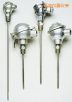 帶保護頭的工業(yè)熱電偶