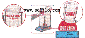 宿遷先進型天平,310g,0.001g