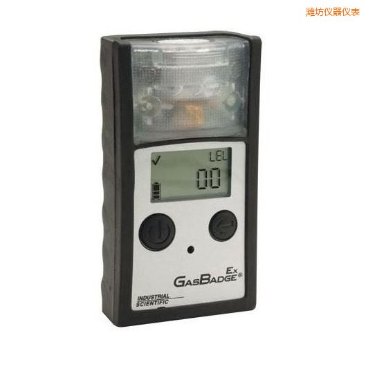 濰坊單一可燃?xì)怏w檢測儀