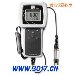 濰坊便攜式溶解氧測(cè)量?jī)x