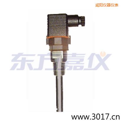 咸陽(yáng)含有溫度的兩線(xiàn)電導(dǎo)率電極